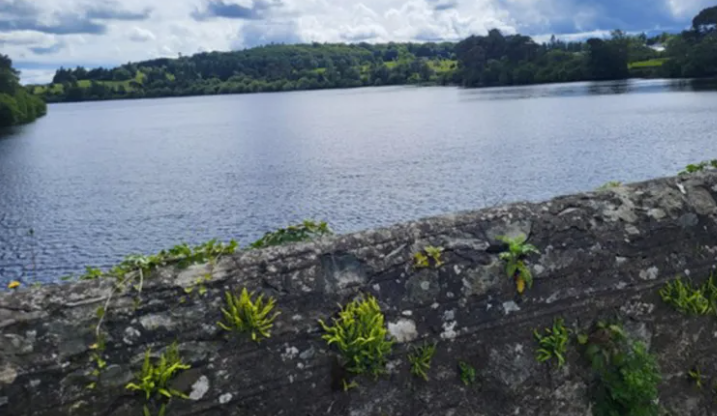 An Tóchar: Pictiúir ó Liam Gaskin